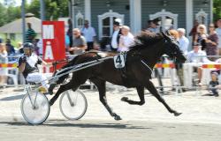 Volontary Simplcty mal