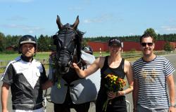 Volontary Simplcty pris